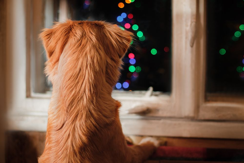 The Gossip Column: January 5, 2024